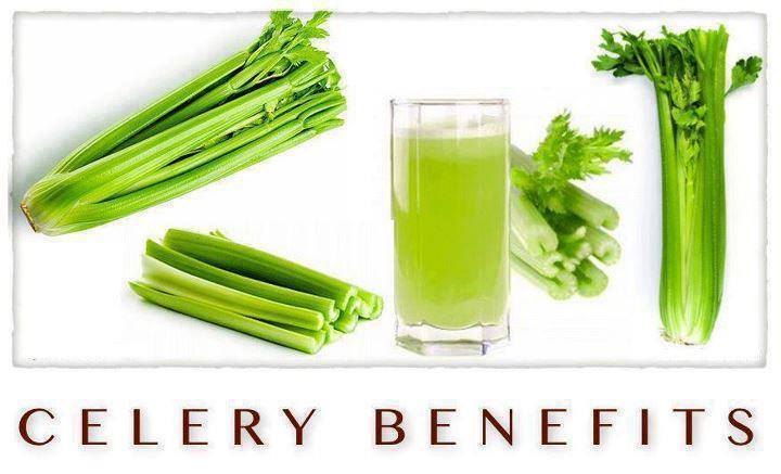 Alkalizing Health Benefits of Celery