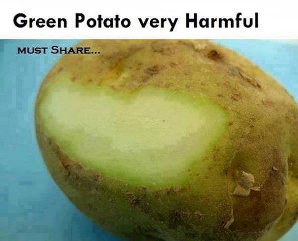 Green Potato are very dangerous for health