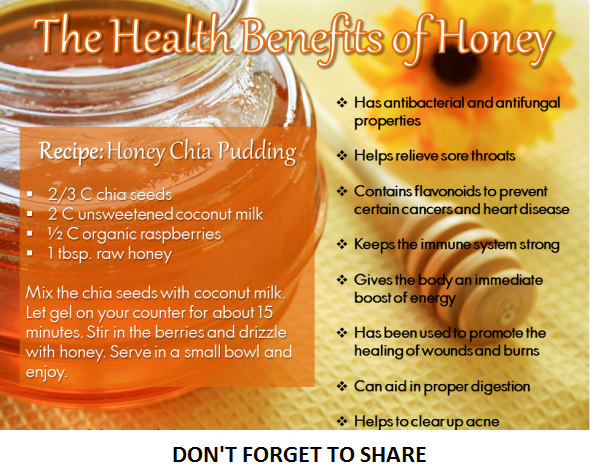 Health Benefits of Honey Chia Pudding
