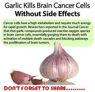 Garlic Kills Brain Cancer Cells Without Side Effects