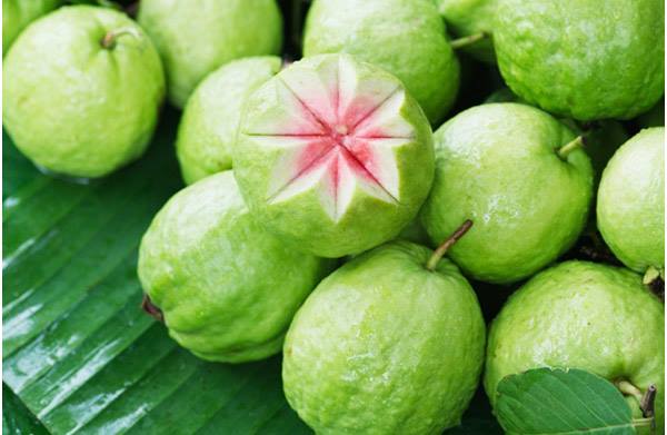 Guava health Benefits