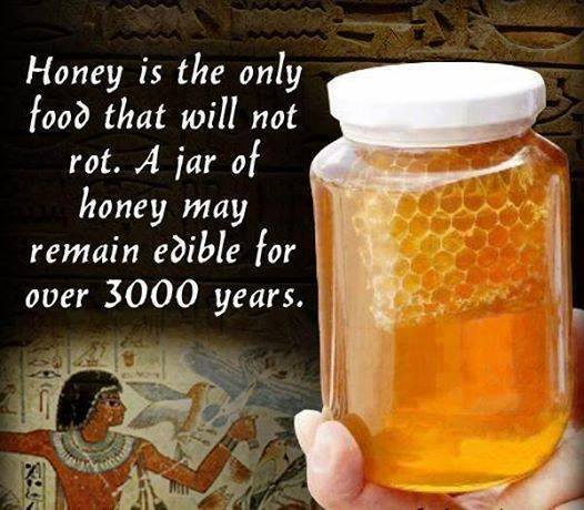 The Secret of Honey