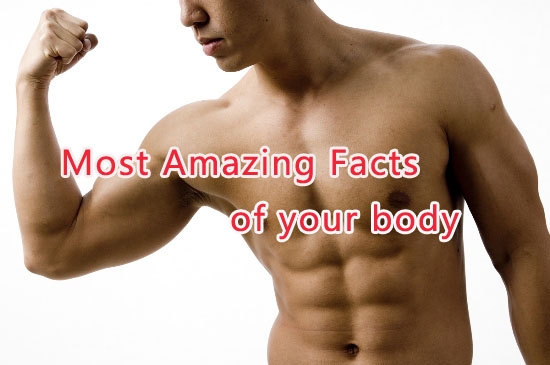 Most Amazing Facts of your body